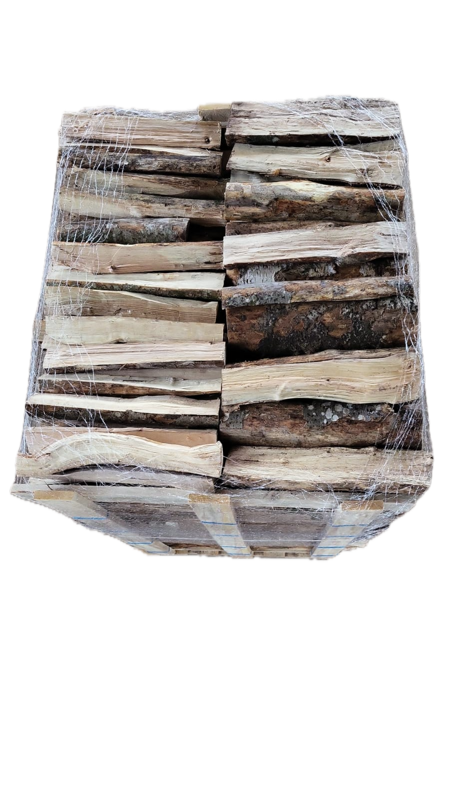 Buches spéciales Pizza